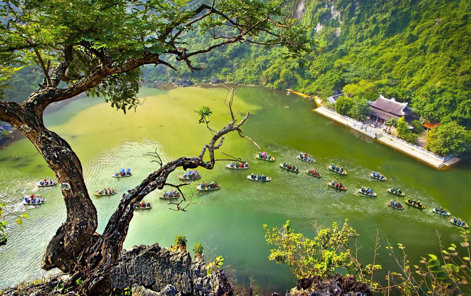 Bai Dinh Pagoda – Trang An boating-Cuc Phuong National Park 